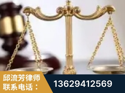 东莞-委托诉讼代理人出庭